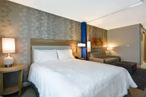 Home2 Suites by Hilton Jackson MI - Chambre