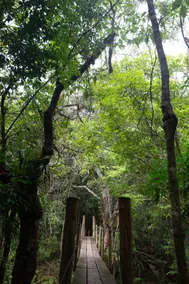Ecopousada Serra Verde - Pool