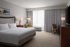 Hampton Inn & Suites Orlando/Downtown South - Medical Center - Chambre