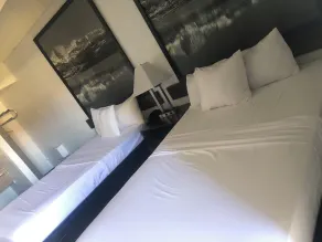 Budget Inn Denver Downtown - Room