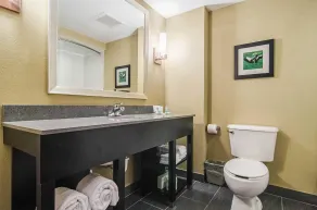 Quality Suites Graham - Burlington South - Room