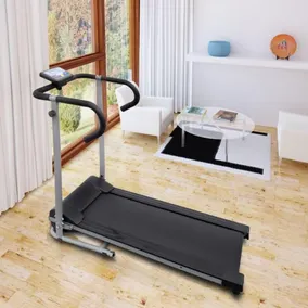 Villa Le Tre Palme - Palestra