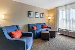 Comfort Suites Oshkosh West - Chambre