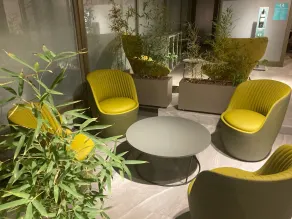 Vega Suites - Reception
