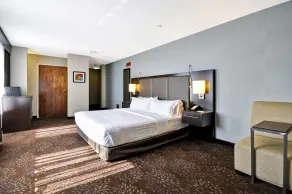 Holiday Inn Express Romulus / Detroit Airport by IHG - Chambre