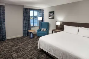 Hilton Garden Inn Savannah Airport - Chambre