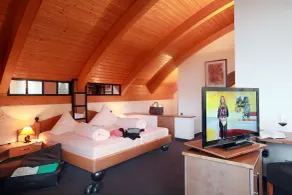 Hotel Am Hirschhorn - Wellness - Spa - and more - Room