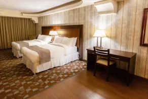 Hotel Plaza San Martin - Room