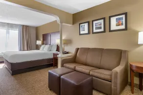 Comfort Suites Grandville - Grand Rapids SW - Chambre