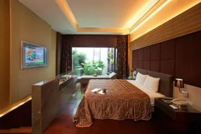 Spring SPA Motel 大里春天泡湯旅館 - Værelse
