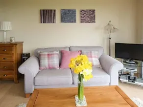 Pine Lodge - Living room