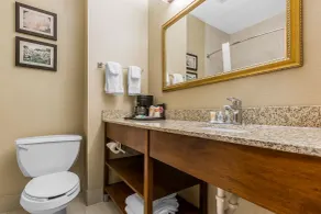 Comfort Inn & Suites Mishawaka-South Bend - Salle de bain