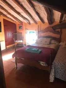 El Olivo de Sansol - Rom