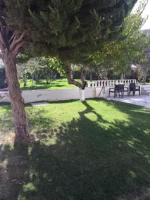 Sakız Tiny House & Apart - Vista dalla camera
