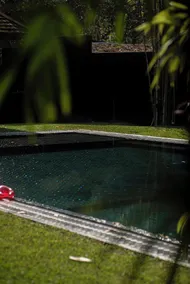 Chandra Residence - Piscina