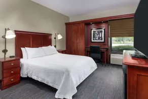 Hampton Inn by Hilton Indianapolis-South - Chambre