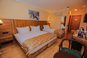 Emin Koçak Termal & Spa - Convention Center - Habitación