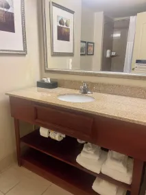 Comfort Inn & Suites Daphne Spanish Fort - Mobile East - Salle de bain