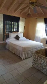 Palm Tree Guest House - Delte kjøkkenfasiliteter