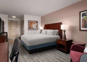 Hilton Garden Inn Ann Arbor - Chambre