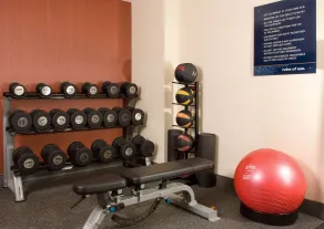 Hampton Inn Orlando Near Universal Blv/International Dr - Salle de remise en forme