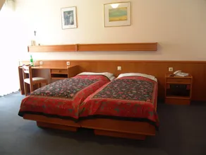 Hotel Altes Gasthaus Düsterbeck - Room