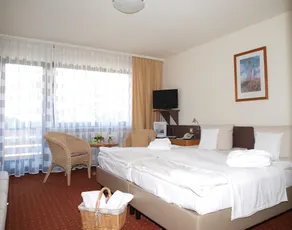 Ferienhotel Schwarzwälder Hof - Rom