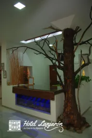 Hotel Lanjaron - Réception