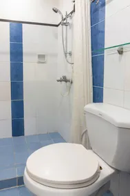 OYO 187 The Maxwell Hotel - Bathroom