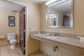 Comfort Inn & Suites Tavares North - Room