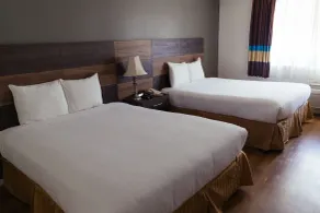 Cozy Inn - Vue de la chambre