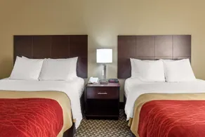 Comfort Inn Horn Lake - Southhaven - Chambre