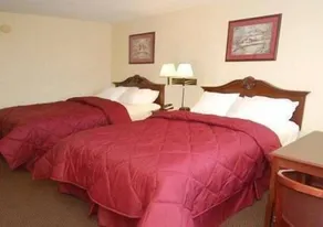 Quality Inn Brookhaven - Værelse