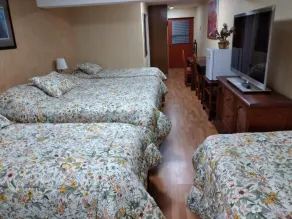 NEW HOTEL CRUZ DEL SUR - Room