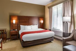 Comfort Suites Eugene University - Chambre