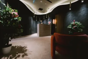 Noemie Hotel - Reception