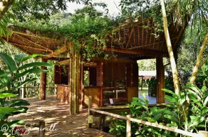 Banana Bamboo Ecolodge - Réception