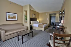 Quality Inn & Suites - Chambre