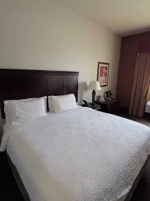 Country Inn & Suites by Radisson, Terrell - Rum