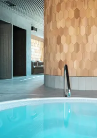 Quality Hotel The Box - Pool