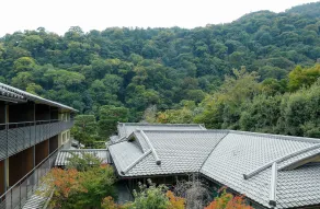 Suiran, a Luxury Collection Hotel, Kyoto - Vue de la chambre