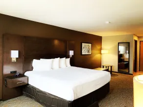 Wingate by Wyndham Wisconsin Dells Waterpark - Chambre