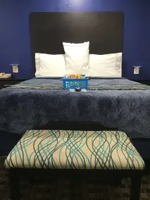Budget Inn & Suites - Room