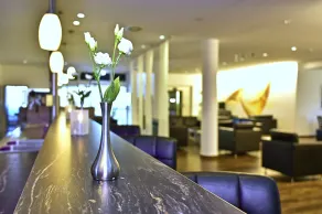 HESSE HOTEL Celle - Réception