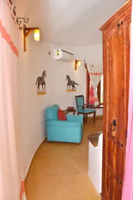 The Earth at Ranthambore - Room
