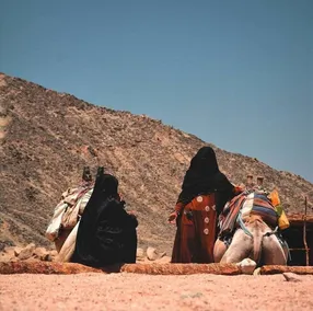 Mount Sinai Bedouin Camp Saint Catherine - Safari