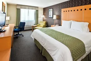 Holiday Inn Express & Suites Monterrey Aeropuerto by IHG - Værelse