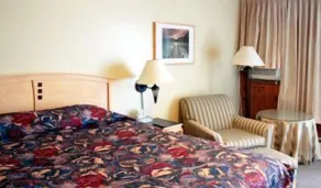 Woodland Motor Inn - Chambre