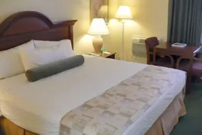 Baymont by Wyndham Sarasota - Room
