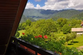 Nature Hotel Lukanc - Vistas desde la habitación